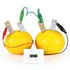 VOSAREA Zinc and Copper Sheet Kit for Fruit Battery Experiments – 15-2